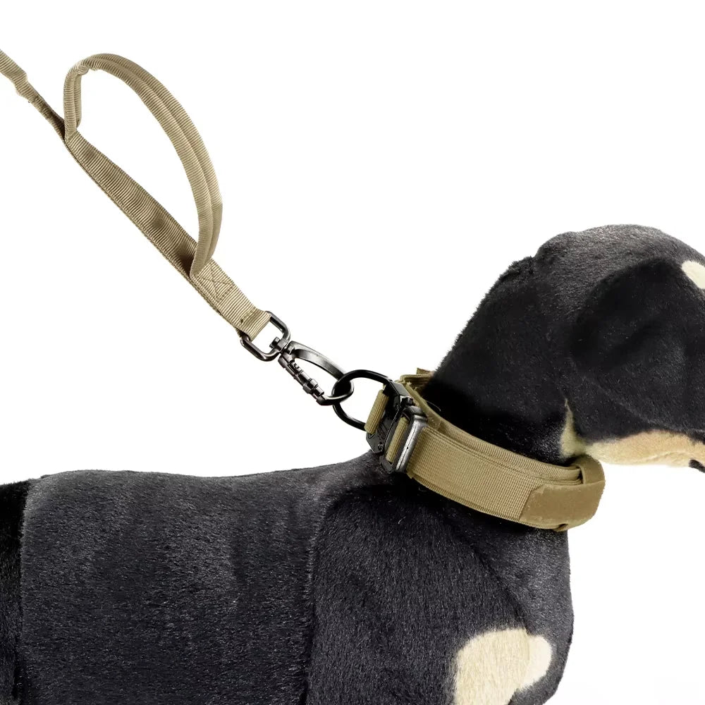 Dog wearing the Tactical Bungee Leash in Coyote Brown