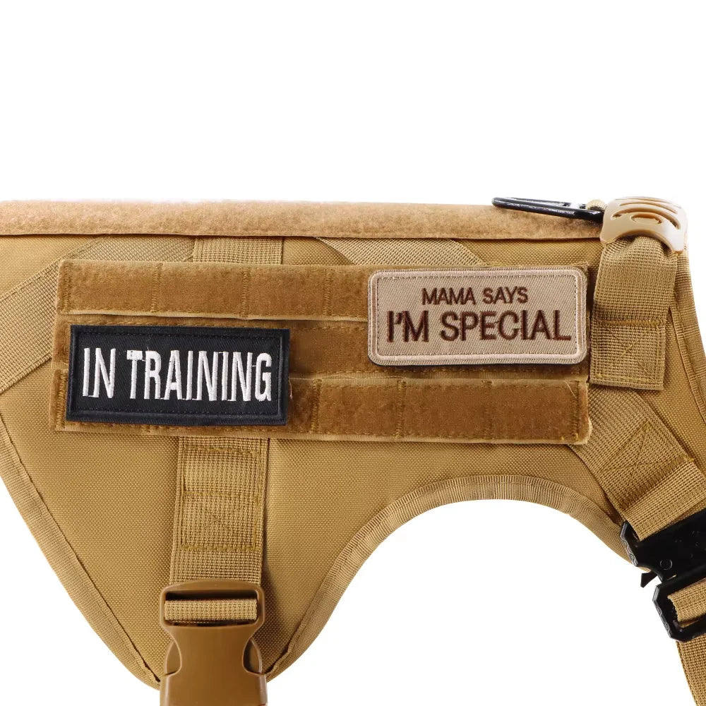 Tactical Harness Patch Set IN TRAINING and MAMA SAYS I'M SPECIAL patches attached to a tan vest