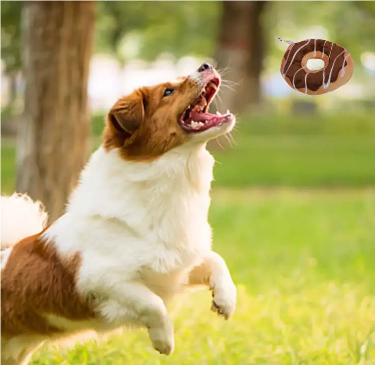 Donut Chew Toy