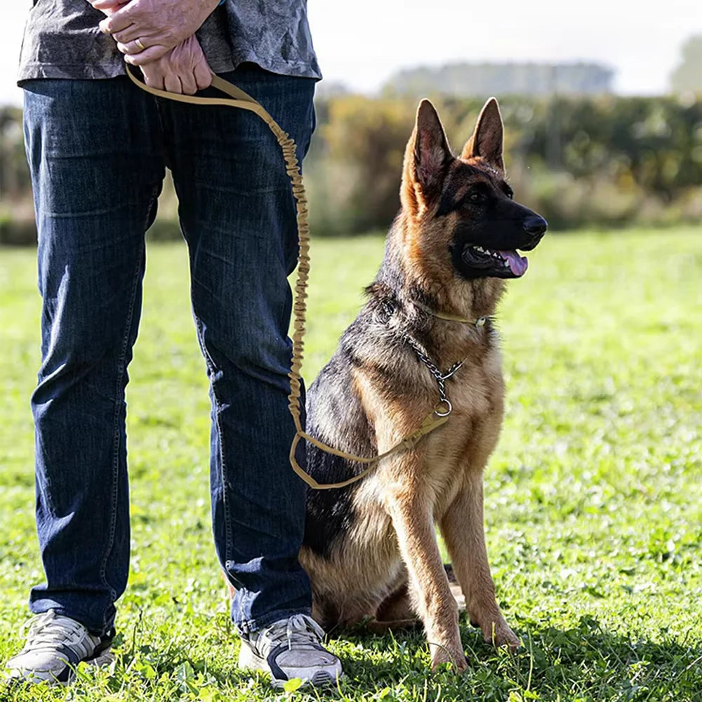 Handler holding the Tactical Bungee Leash beside a sitting dog