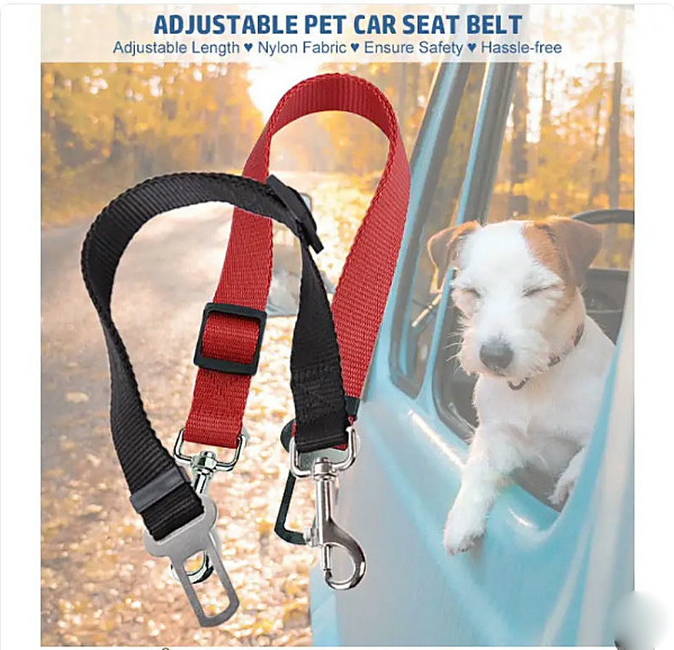 Dog secured in a car with the adjustable seat belt tether
